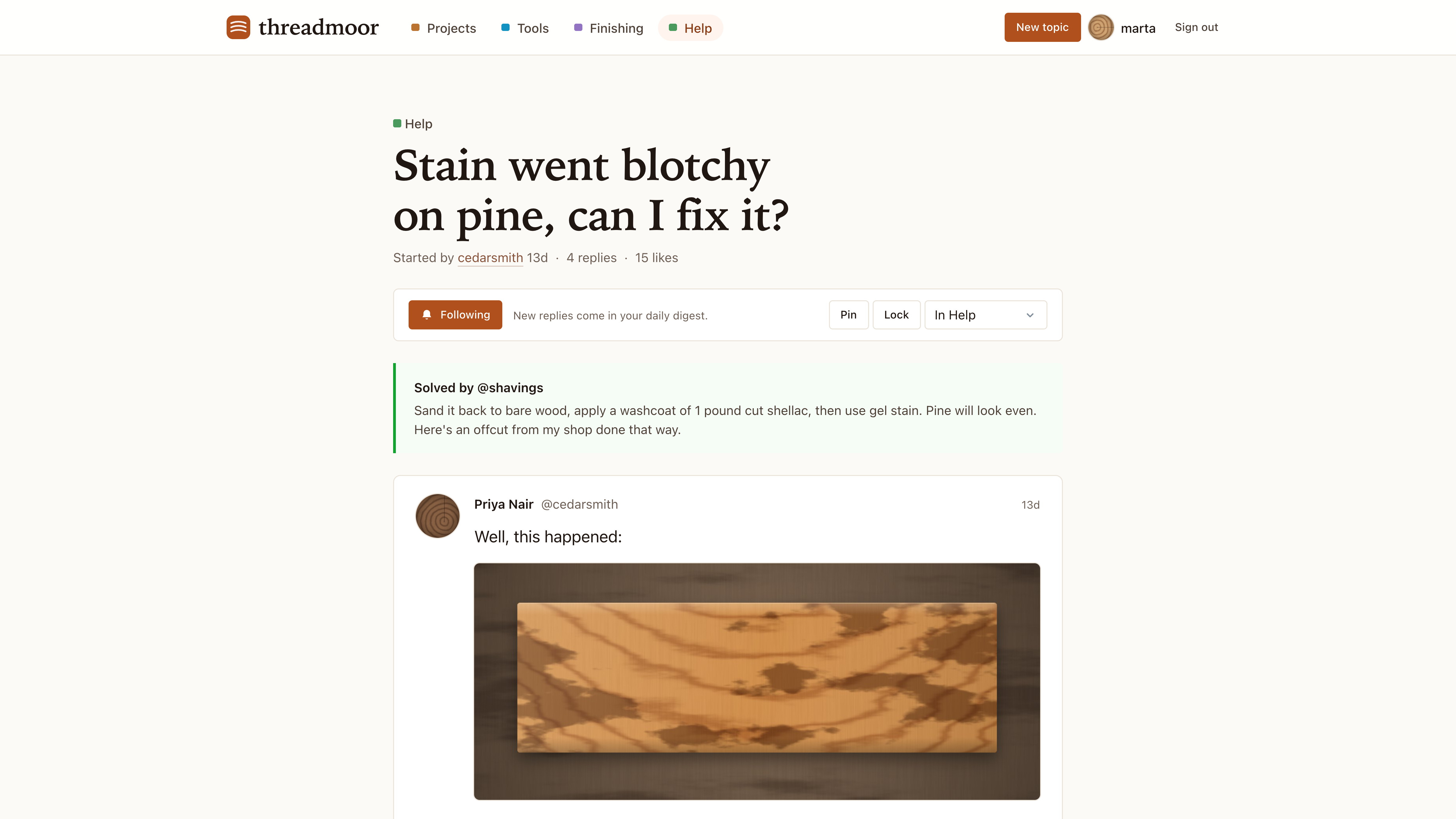 Threadmoor: a discussion forum for a woodworking community